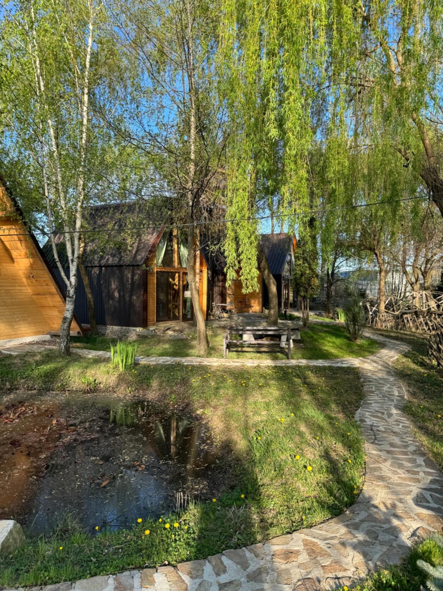 Conacul Lui Patrick Hotel Poenari Buitenkant foto