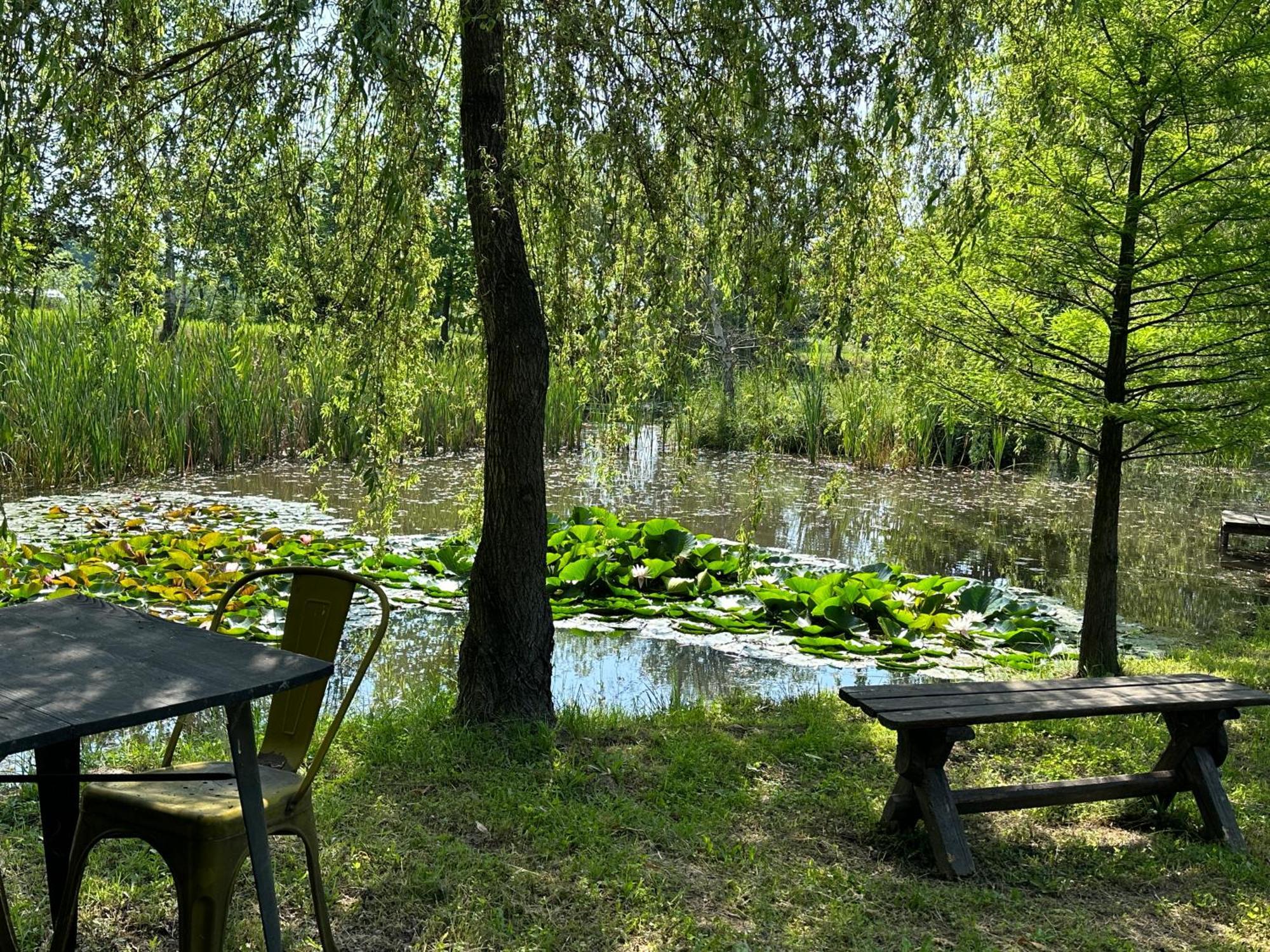 Conacul Lui Patrick Hotel Poenari Buitenkant foto