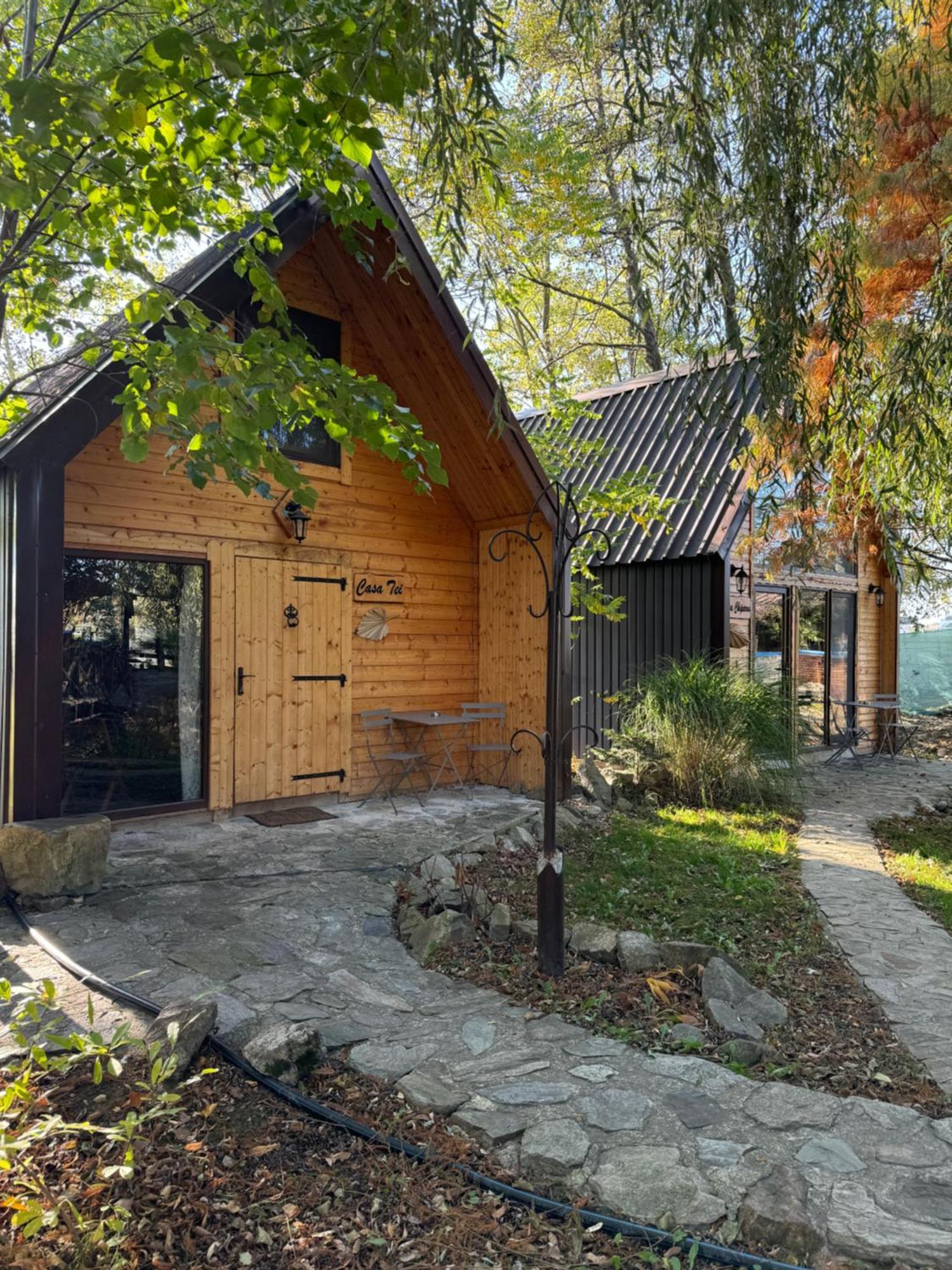 Conacul Lui Patrick Hotel Poenari Buitenkant foto