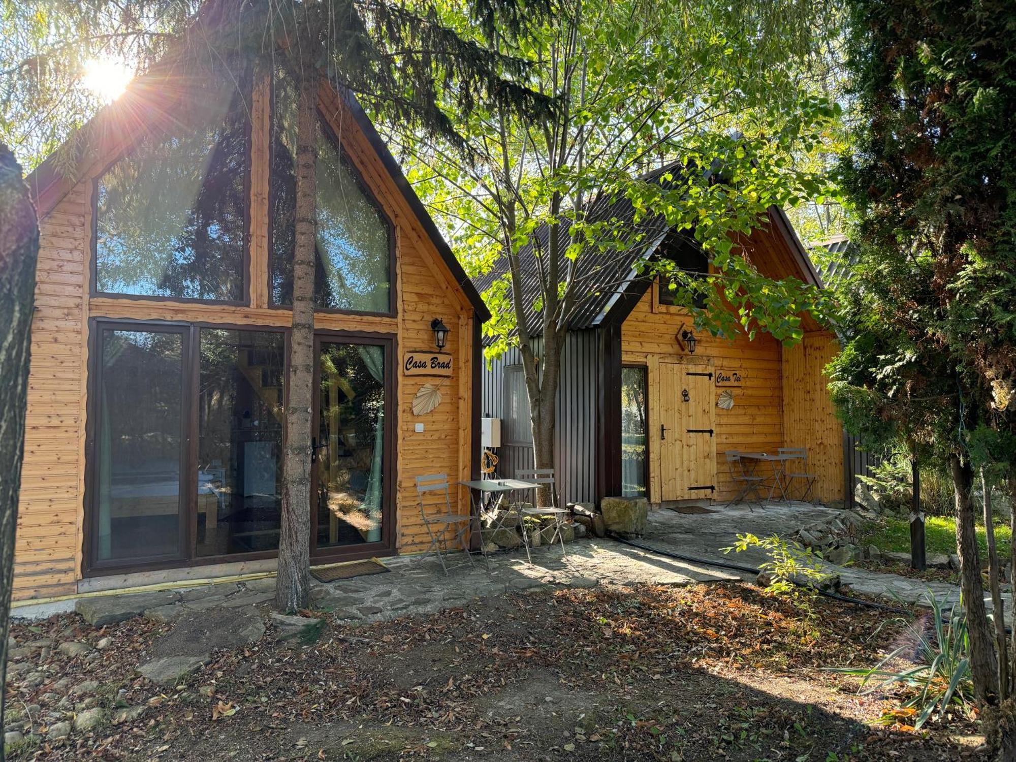 Conacul Lui Patrick Hotel Poenari Buitenkant foto